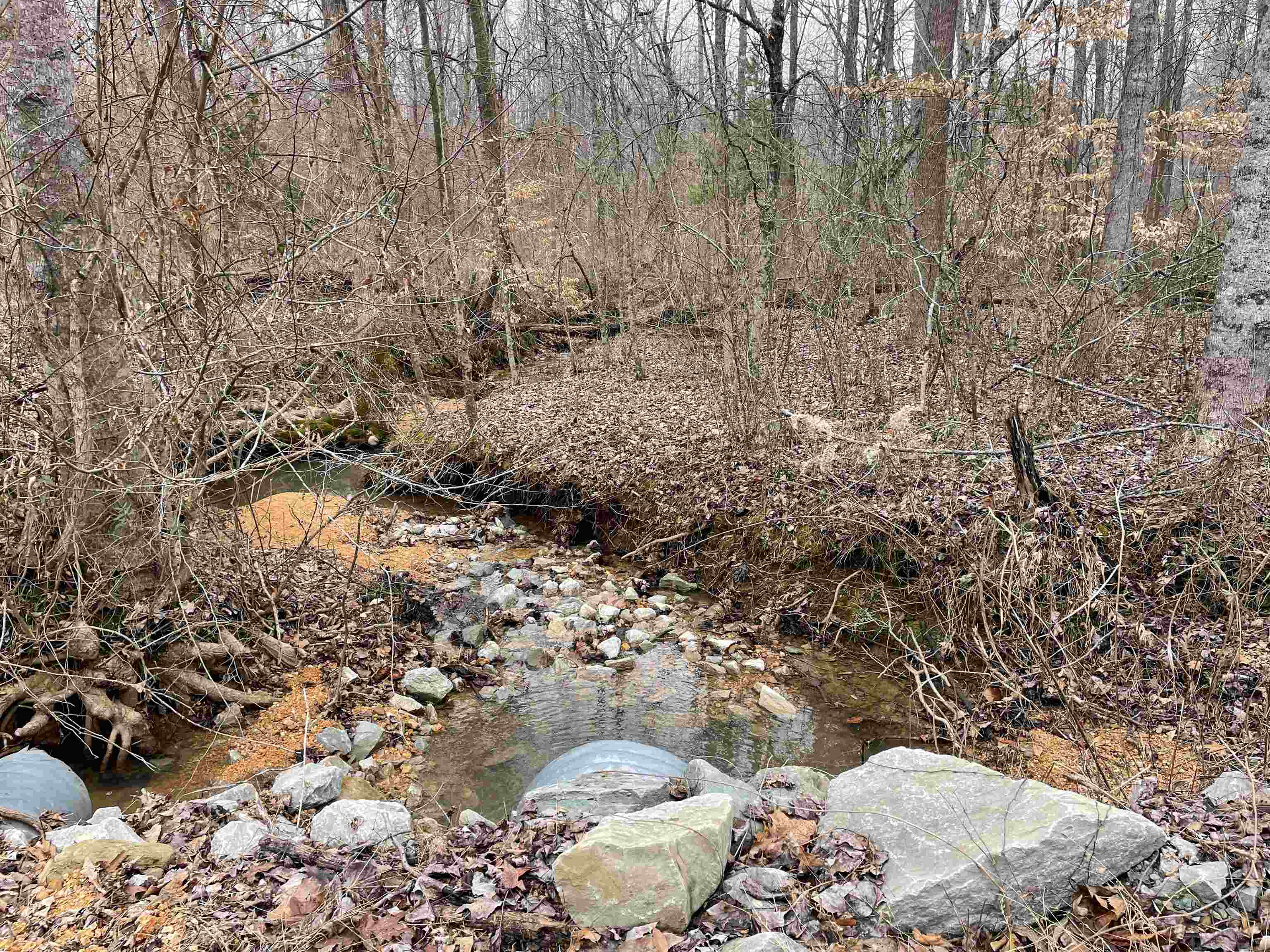 580 Gidget Road Morris Chapel, TN 38361 - Photo 5 of 29 View of landscape