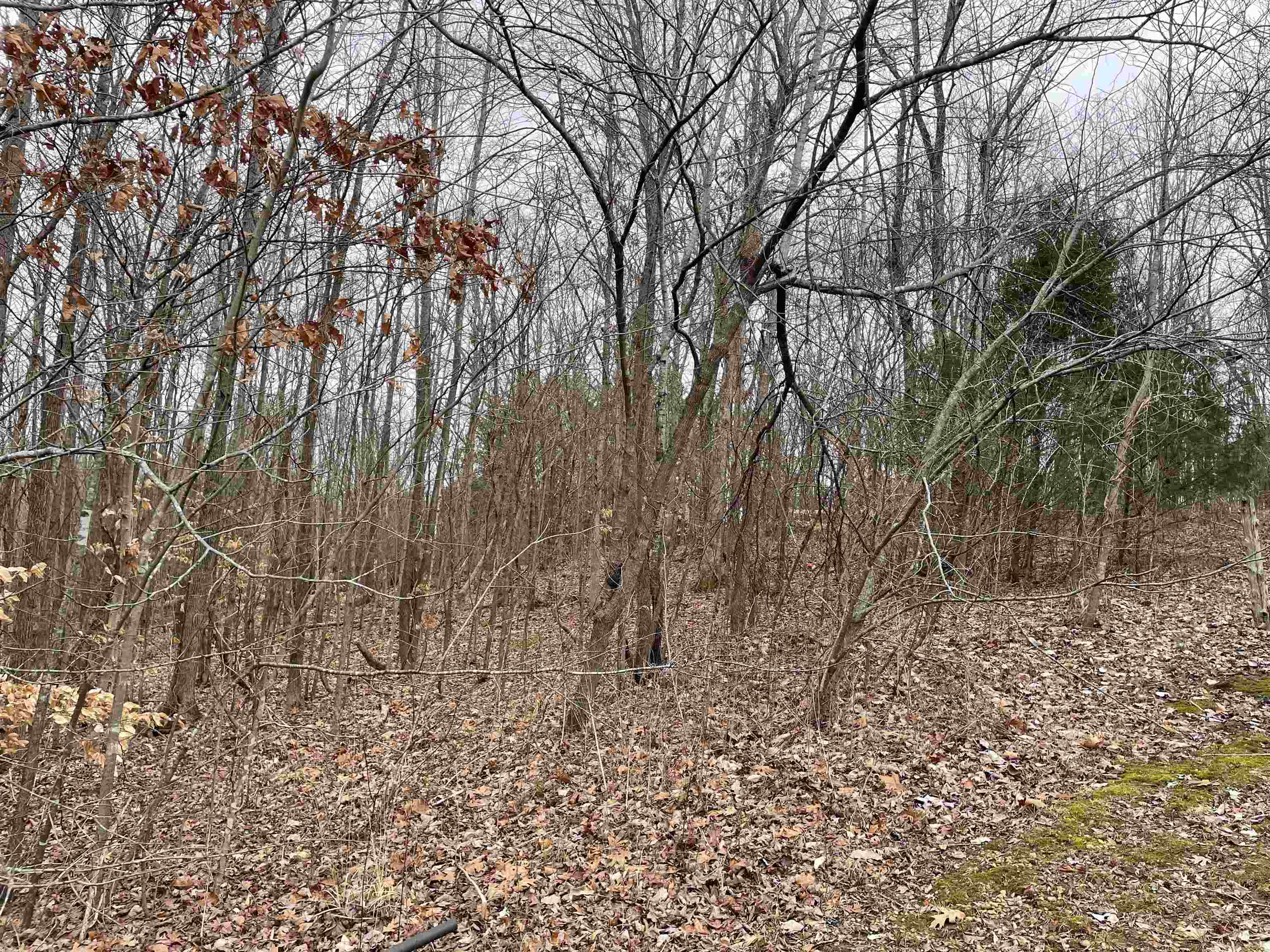 580 Gidget Road Morris Chapel, TN 38361 - Photo 7 of 29 View of landscape