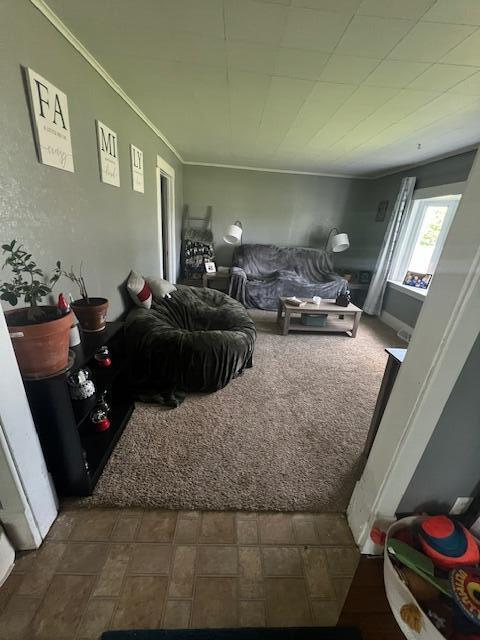 324 4th Street Blanchard, MI 49310 - Photo 15 of 27 IMG_8664