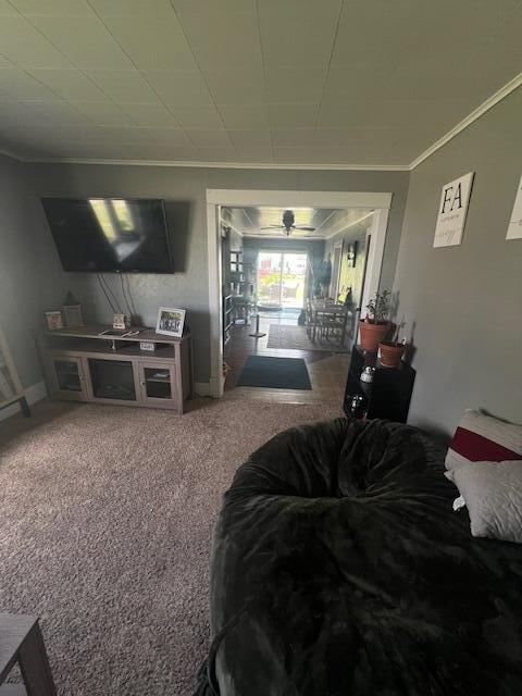 324 4th Street Blanchard, MI 49310 - Photo 17 of 27 IMG_8671