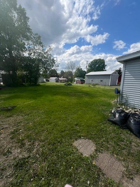 324 4th Street Blanchard, MI 49310 - Photo 9 of 27 IMG_8635