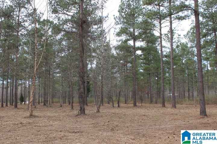 Liberty Shores Boulevard Vincent, AL 35178 - Photo 3 of 11