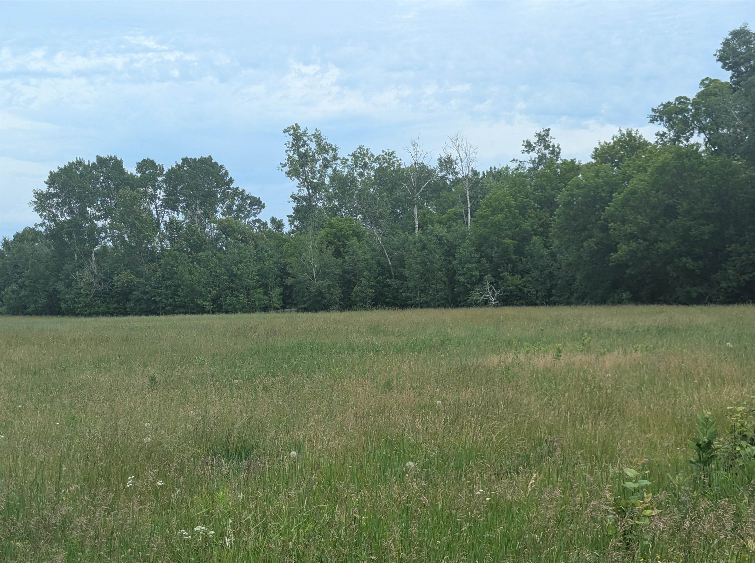 N/a Shenfield Road Turner, MI 48765 - Photo 15 of 15 1947337-f3fe358d-3da3-4f5f-8266-6fdc29bf3179.JPG