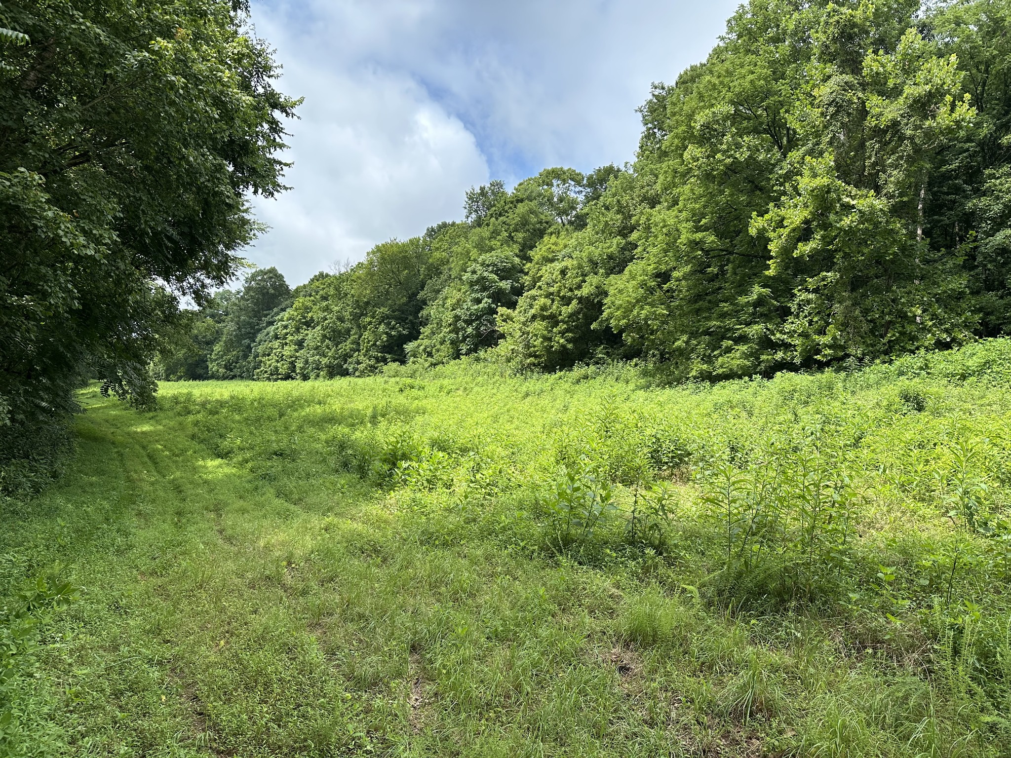 0 Pea Ridge Road Chestnut Mound, TN 38552 - Photo 13 of 20 Gallery Image 13