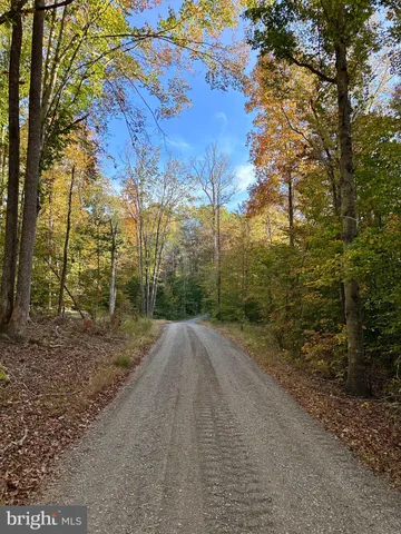 $679,900 | 20294 Beaver Crk Court, Lignum, VA 22726