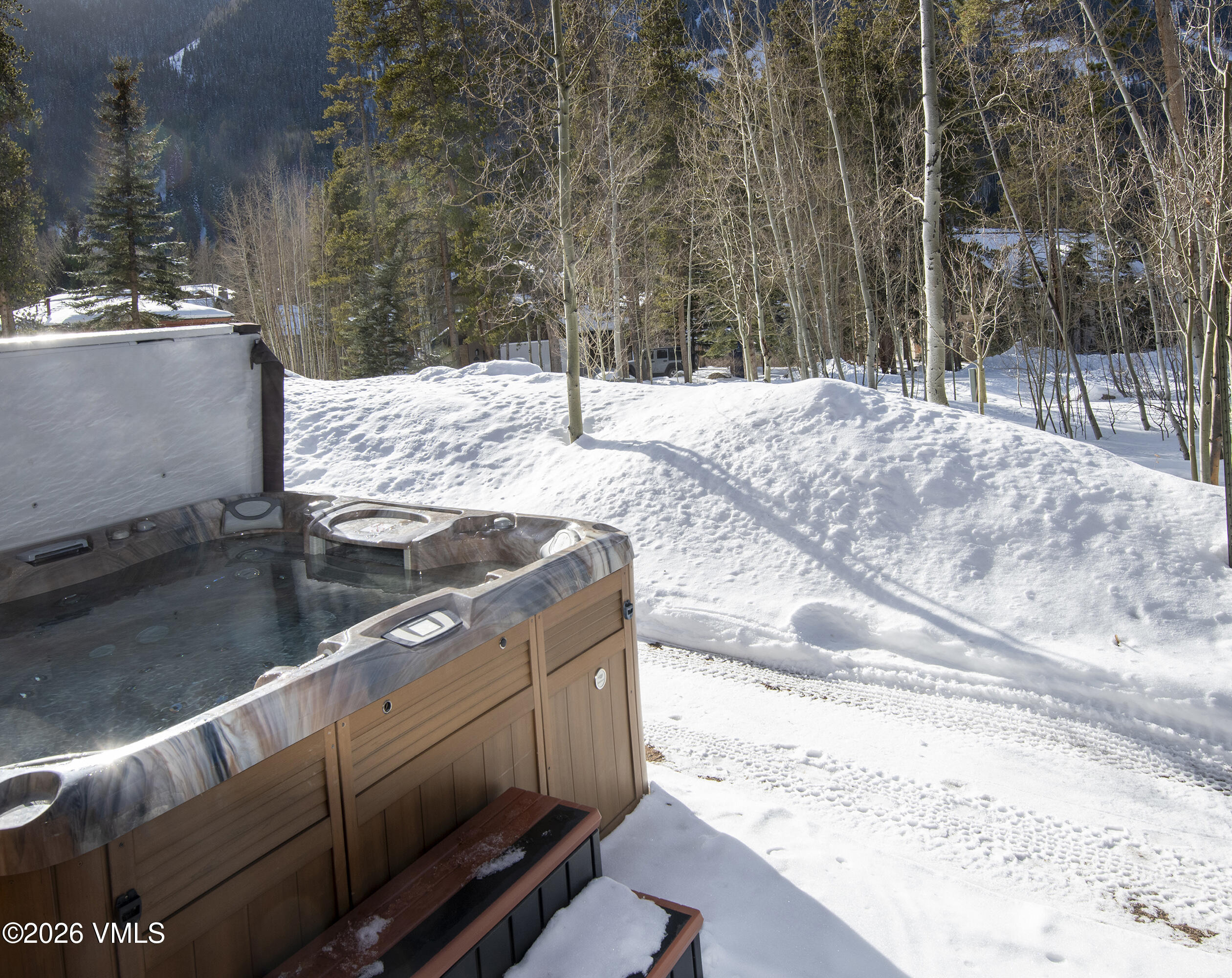 5159 Gore Circle Vail, CO 81657 - Photo 31 of 36 a view of a backyard of the house