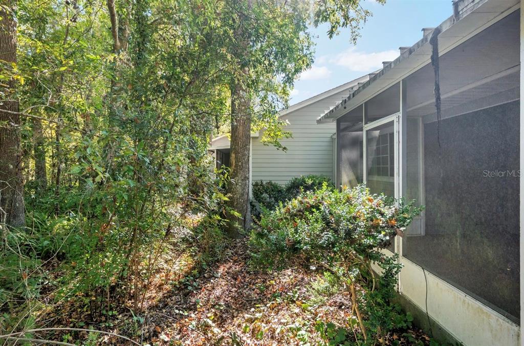 907 Southwest 51 Way Gainesville, FL 32607 - Photo 41 of 45 a plant that is in front of a house