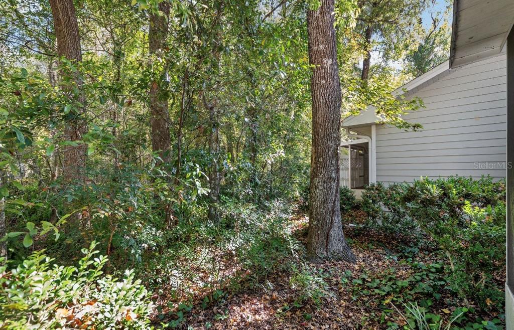 907 Southwest 51 Way Gainesville, FL 32607 - Photo 42 of 45 a plant view of a house with a tree