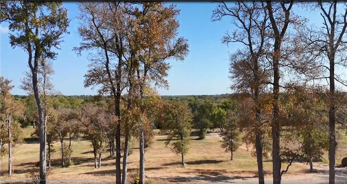 6666 Peyton Road Bryan, TX 77807 - Photo 3 of 11 View of nature from on high