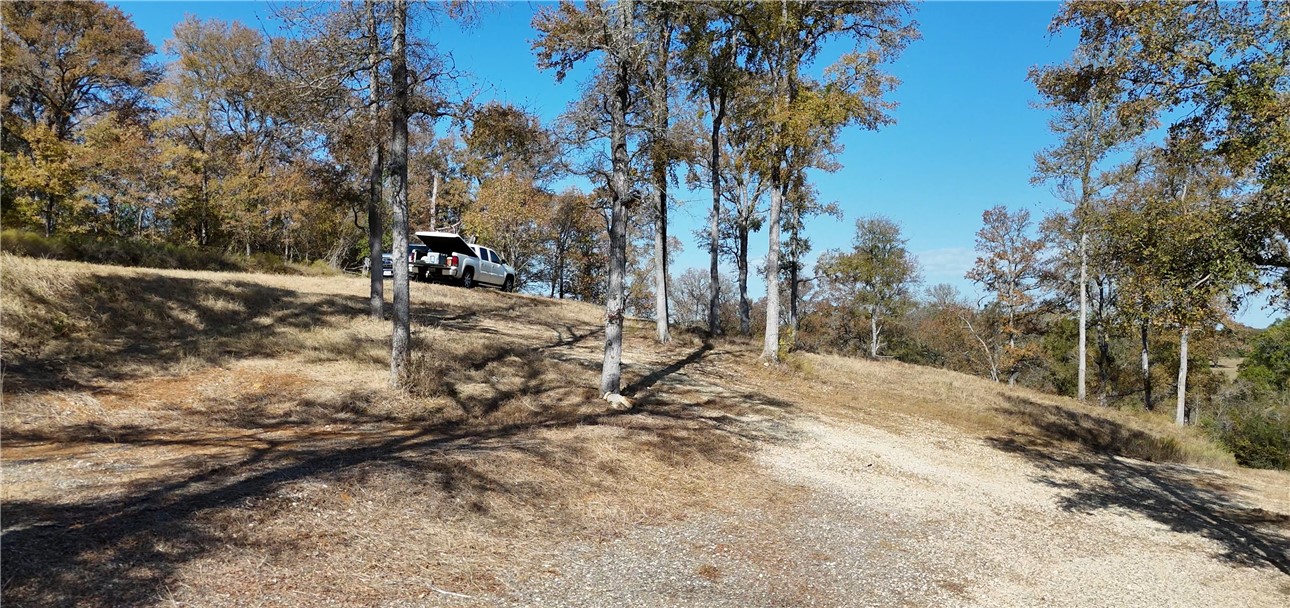 6666 Peyton Road Bryan, TX 77807 - Photo 6 of 11