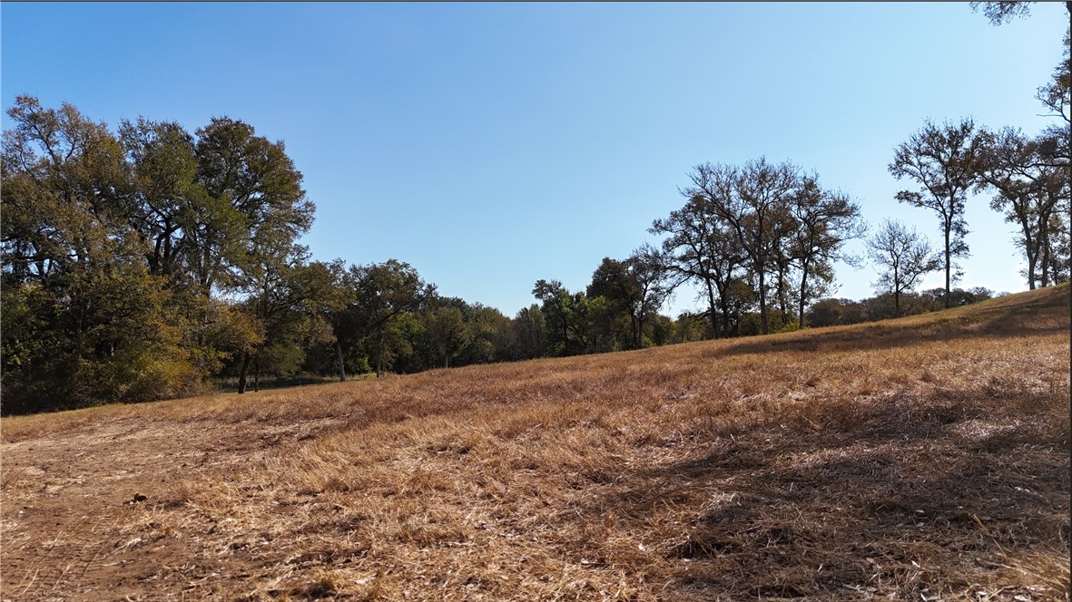 6666 Peyton Road Bryan, TX 77807 - Photo 9 of 11