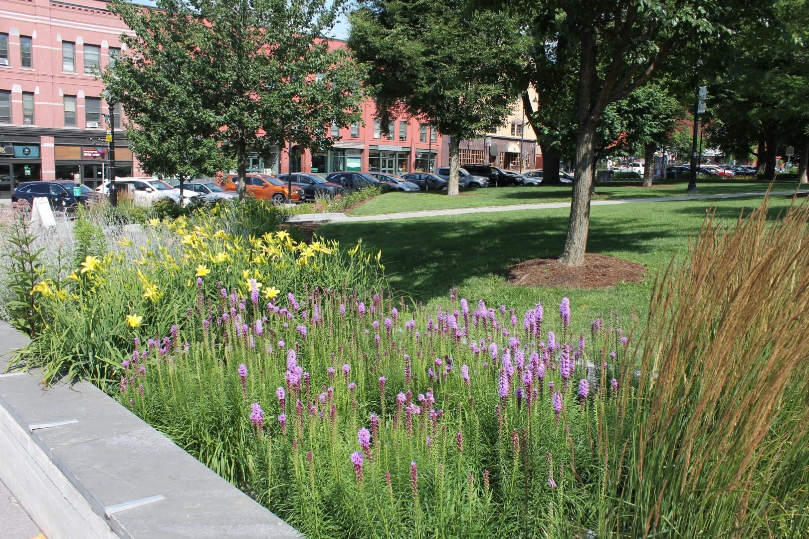 131 Main Street, Unit 509 Burlington, VT 05401 - Photo 4 of 14