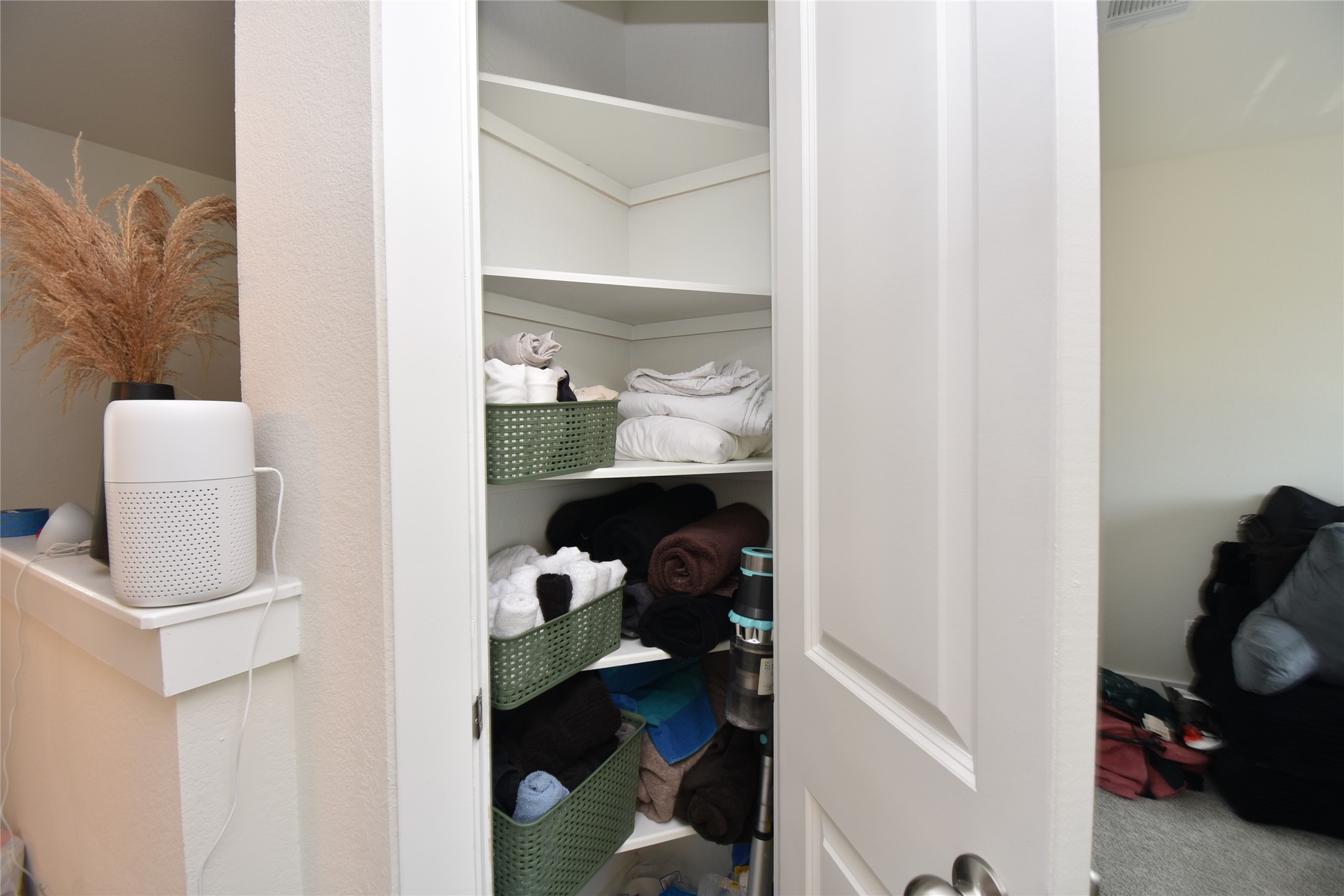 331 Alamar Knot Way, Unit 208 Georgetown, TX 78626 - Photo 8 of 17 Functional built-in shelving offers smart storage solutions within a discreet closet space.