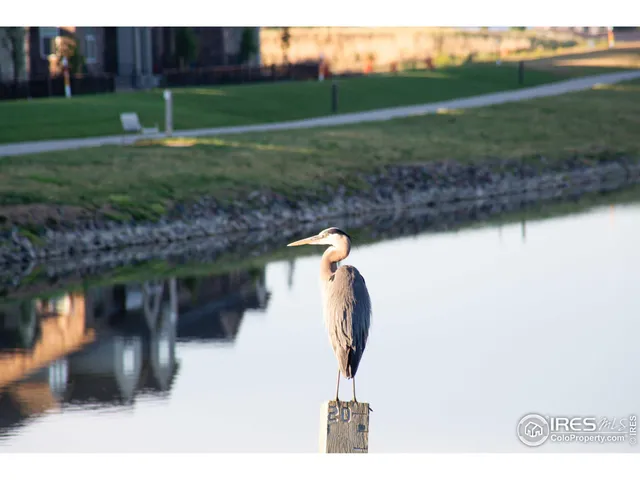 $713,847 | 6233 Vernazza Way, Unit 4, Windsor, CO 80550