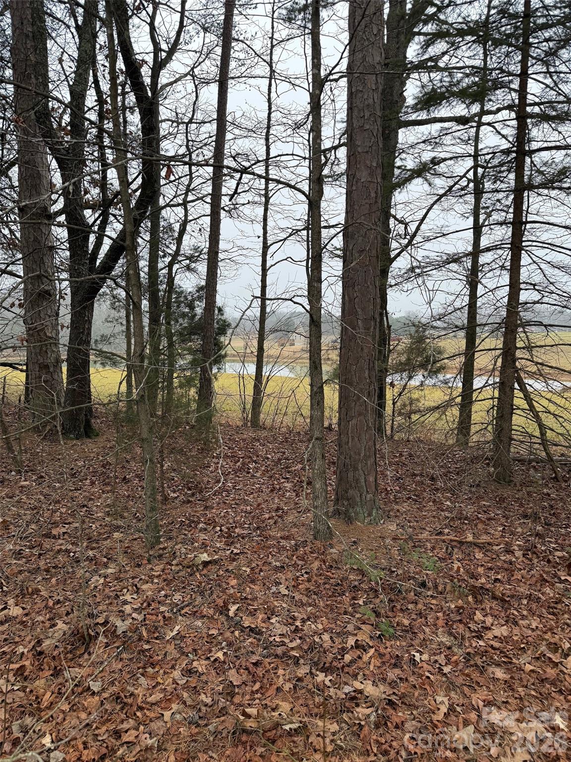 2170 Neel Road Salisbury, NC 28147 - Photo 20 of 21 a backyard of a house with lots of green space