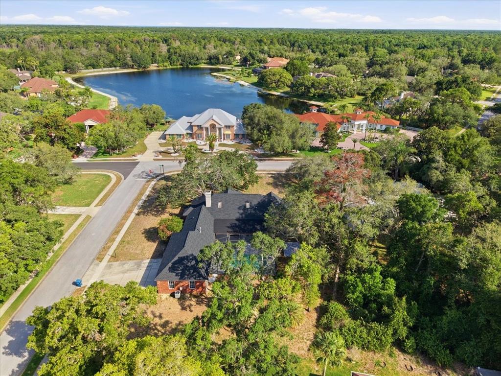 4558 Lake In The Woods Drive Spring Hill, FL 34607 - Photo 6 of 55