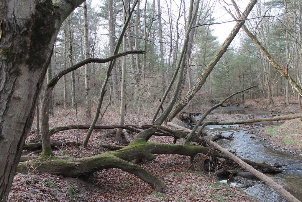 0 Lodge Road Crystal Spring, PA 15536 - Photo 50 of 54 Gallery Image 50
