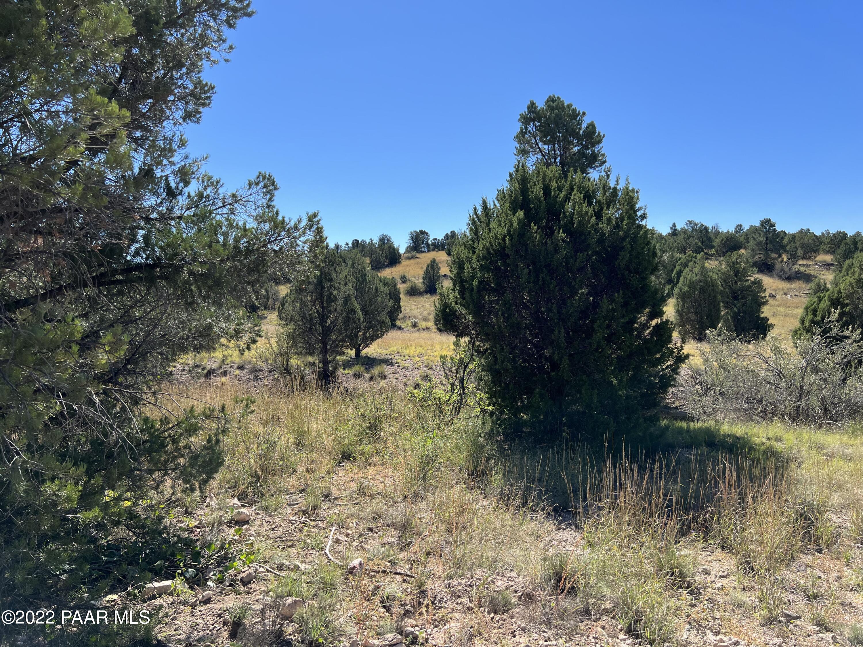 18775 North Sullivan Buttes Road Prescott, AZ 86305 - Photo 7 of 17 Junipers