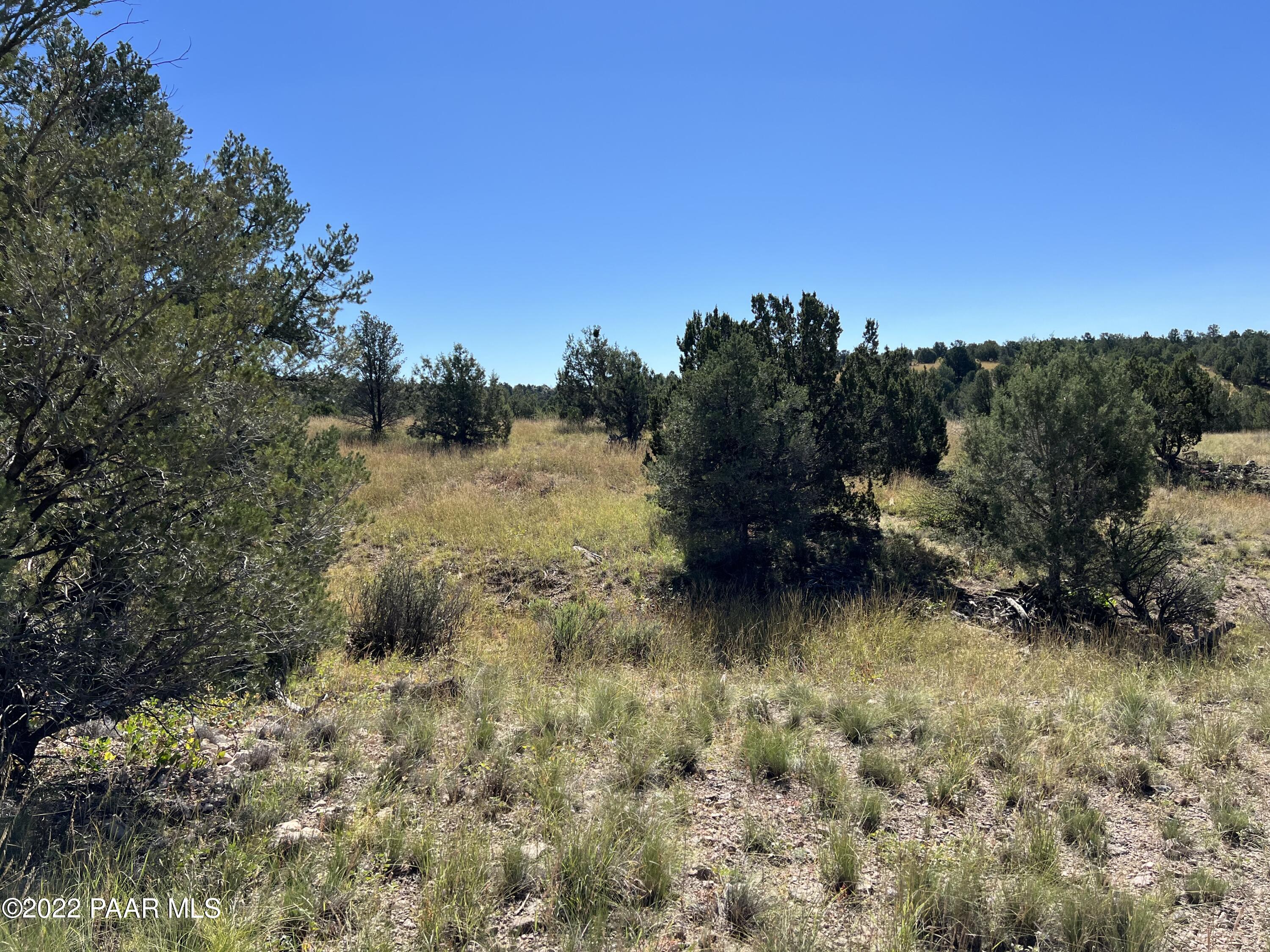 18775 North Sullivan Buttes Road Prescott, AZ 86305 - Photo 10 of 17 Serenity