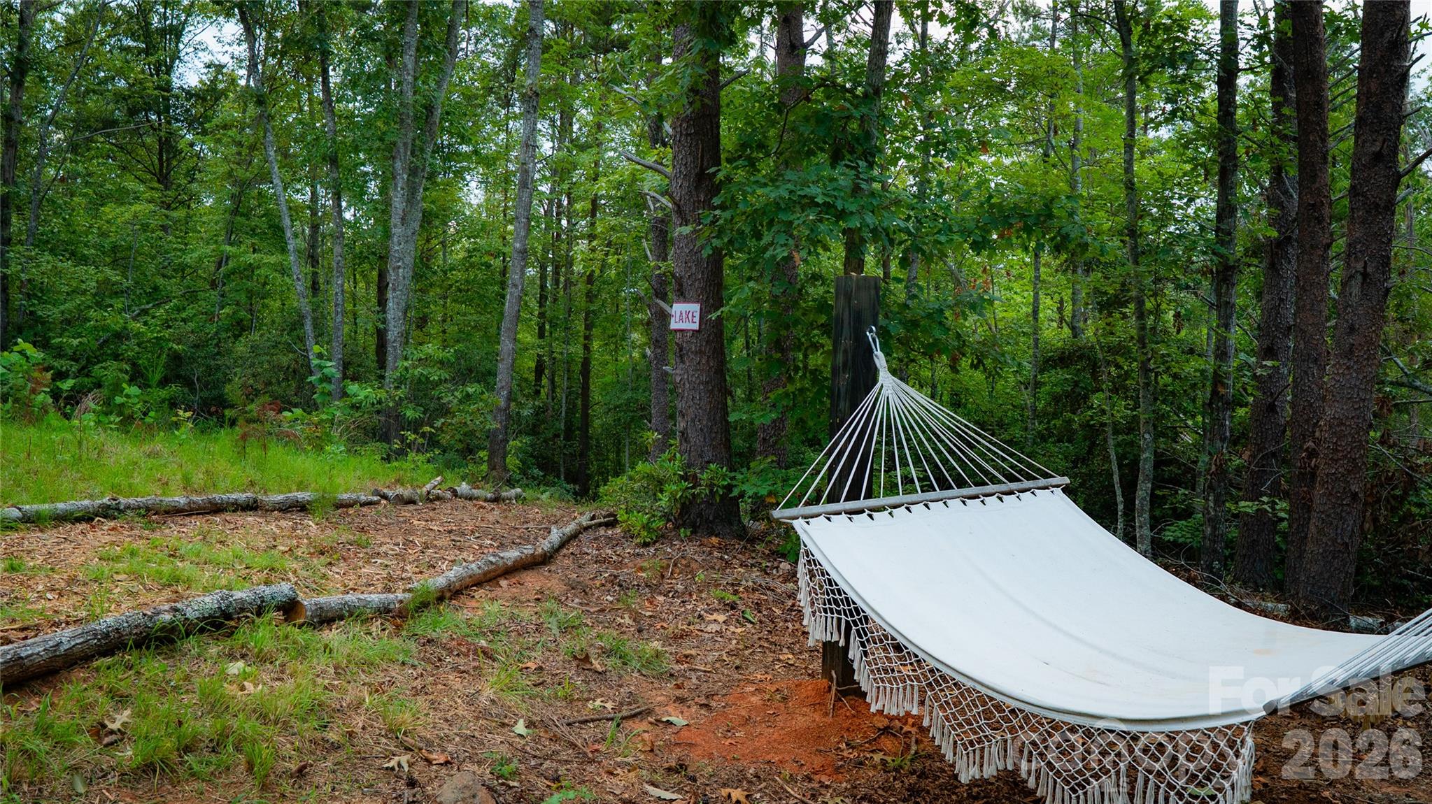 221 Summerfield Lane Rutherfordton, NC 28139 - Photo 19 of 33 a view of outdoor space and yard