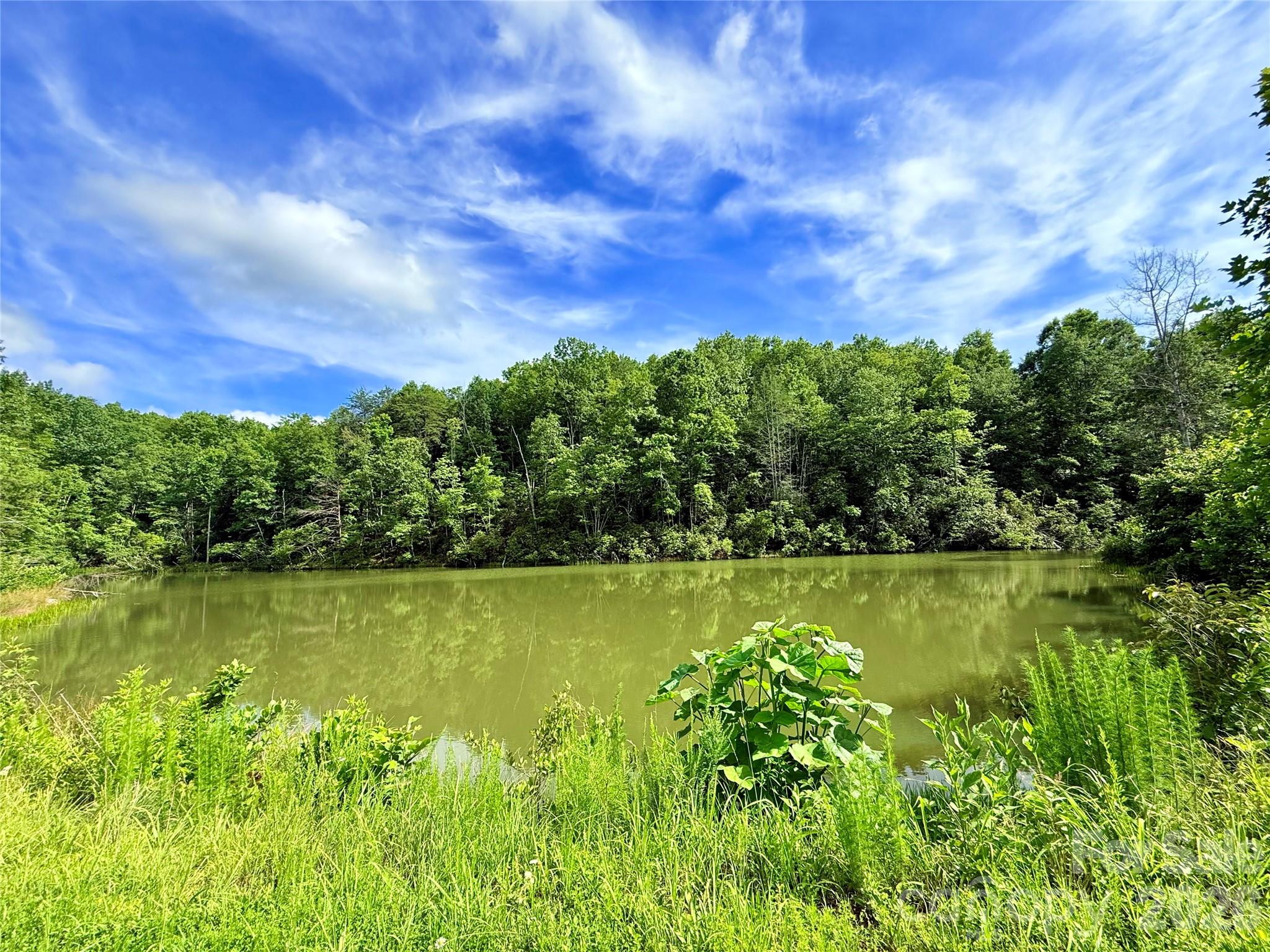 221 Summerfield Lane Rutherfordton, NC 28139 - Photo 28 of 33 a view of a lake with houses in the back