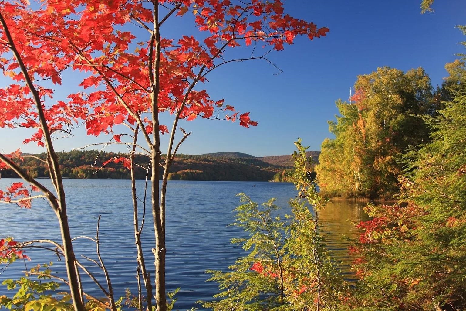 38 Terrace View Grantham, NH 03753 - Photo 3 of 5