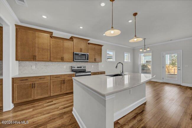 729 Caisson Run Wilmington, NC 28412 - Photo 14 of 96 Kitchen -729 Caisson Run