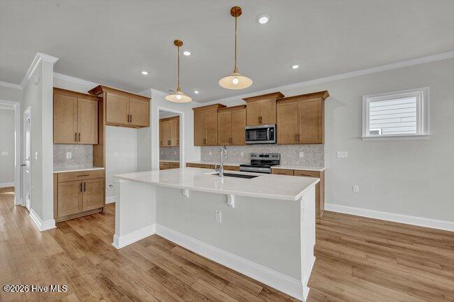 729 Caisson Run Wilmington, NC 28412 - Photo 16 of 96 Kitchen -729 Caisson Run
