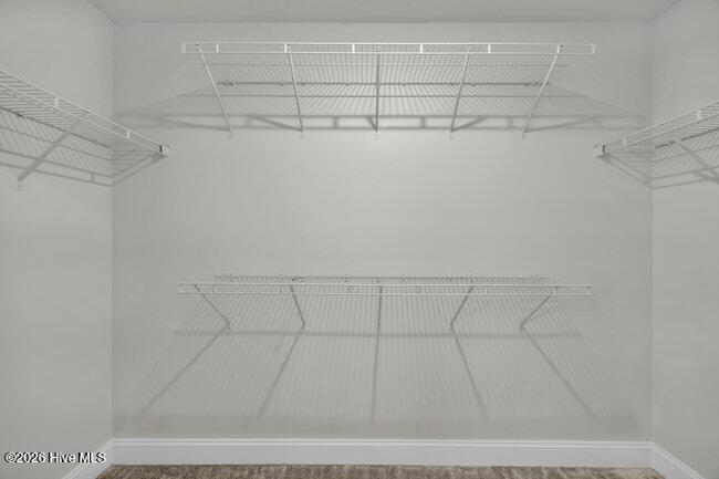 729 Caisson Run Wilmington, NC 28412 - Photo 41 of 95 Primary Closet #1 -729 Caisson Run