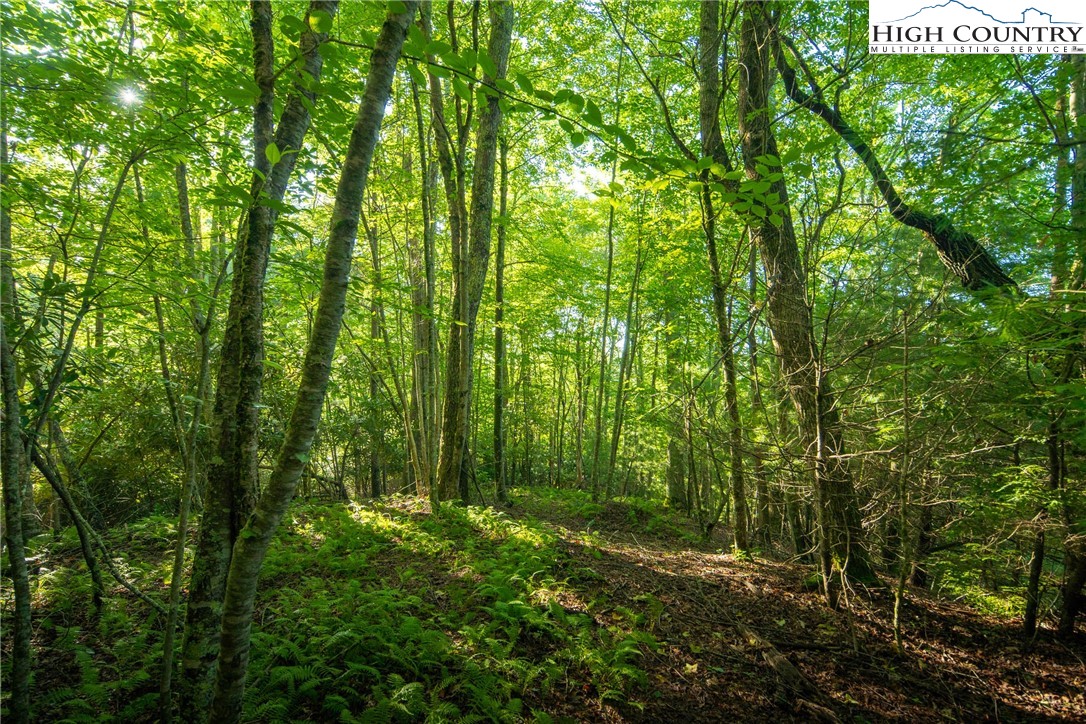 Boulder Creek Drive Boone, NC 28607 - Photo 15 of 32 a view of outdoor space and green space