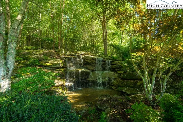 a view of outdoor space and trees