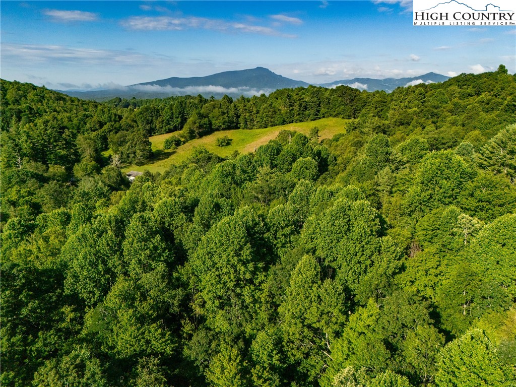 Boulder Creek Drive Boone, NC 28607 - Photo 24 of 25 a view of a large yard with lots of green space