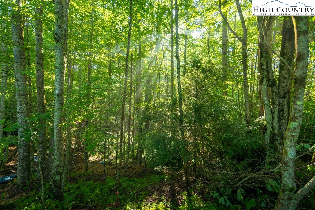 Boulder Creek Drive Boone, NC 28607 - Photo 28 of 32