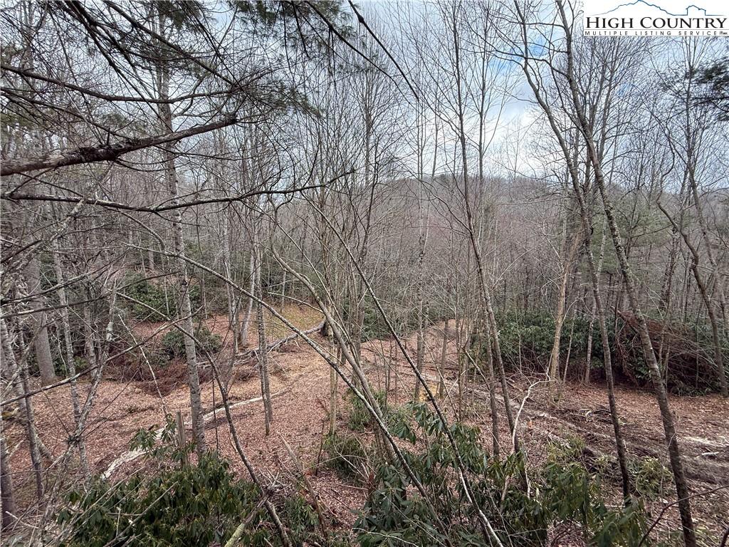 Boulder Creek Drive Boone, NC 28607 - Photo 38 of 38 a backyard of a house with lots of green space
