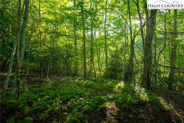 a view of a green field