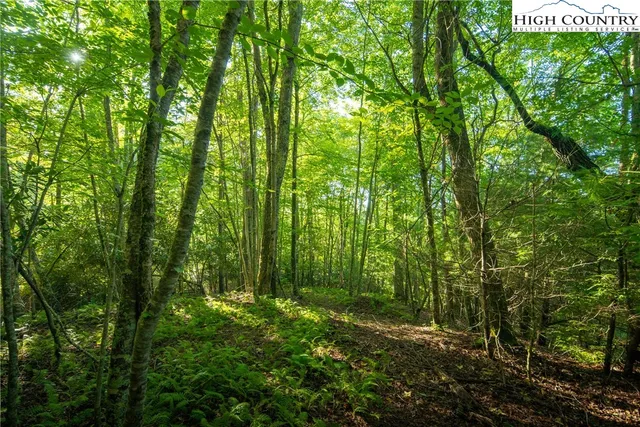 a view of outdoor space and green space