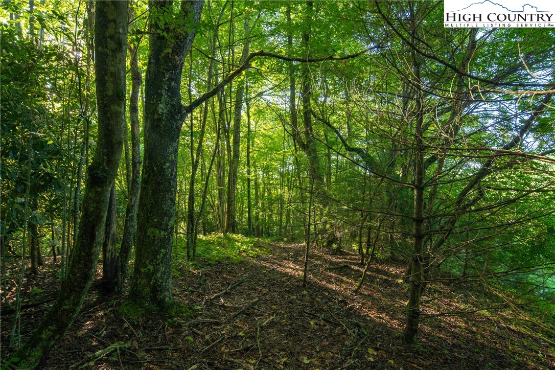Boulder Creek Drive Boone, NC 28607 - Photo 9 of 25 a view of outdoor space and green space