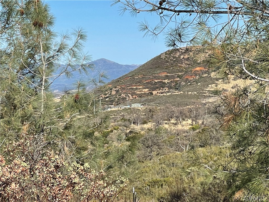 4747 Bear Valley Road Mariposa, CA 95338 - Photo 3 of 7 a view of a yard with a tree