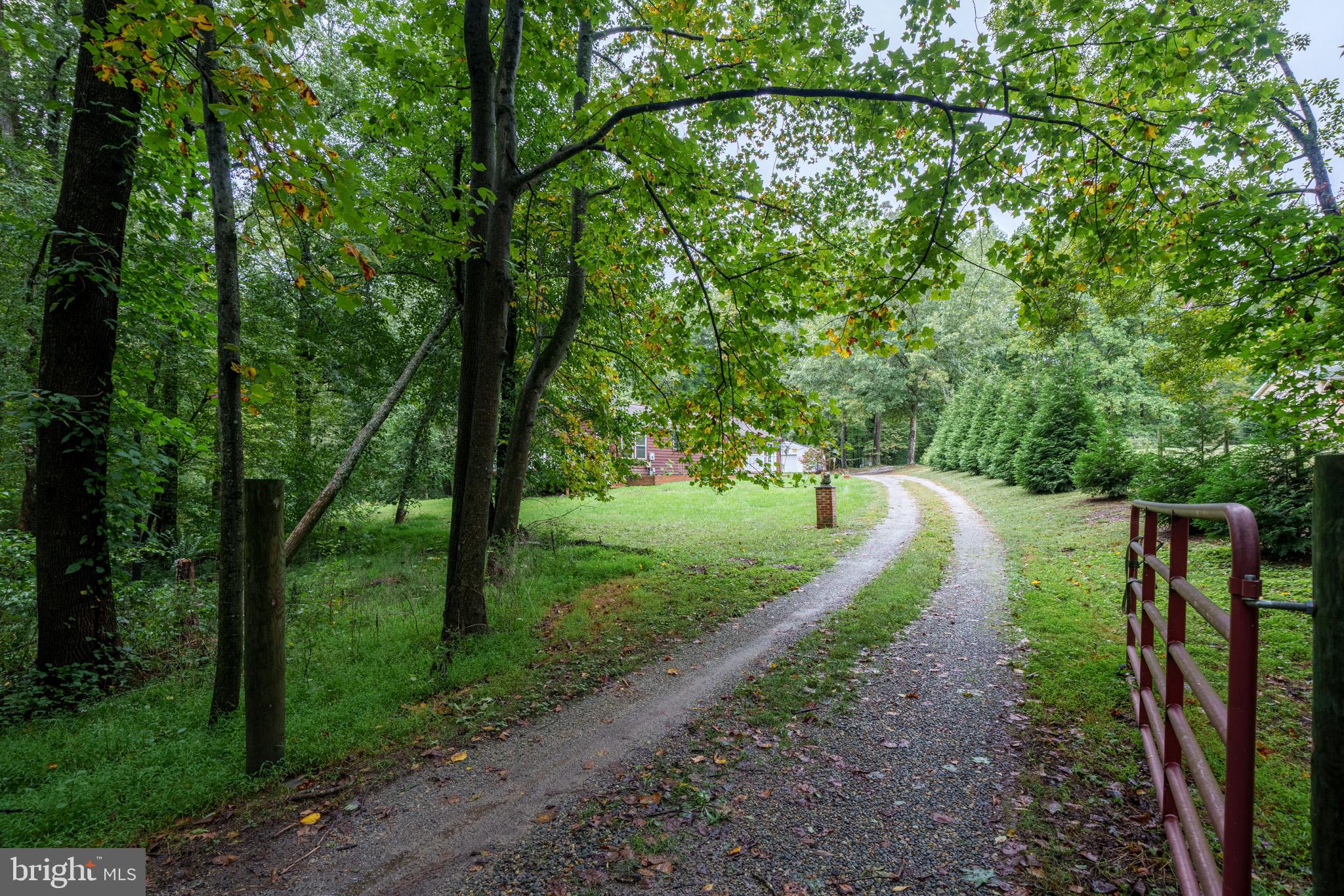 1172 Dexter Corner Road Townsend, DE 19734 - Photo 2 of 31 Driveway thru front gate to the property
