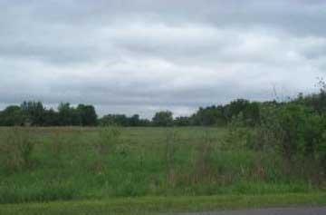 Scout Road Walkerville, MI 49459 - Photo 1 of 1 Primary Photo
