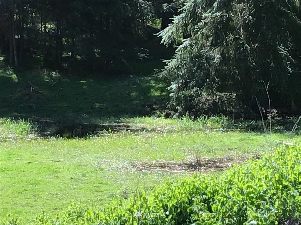 32917 Locke Road Roy, WA 98580 - Photo 19 of 25 Gallery Image 19