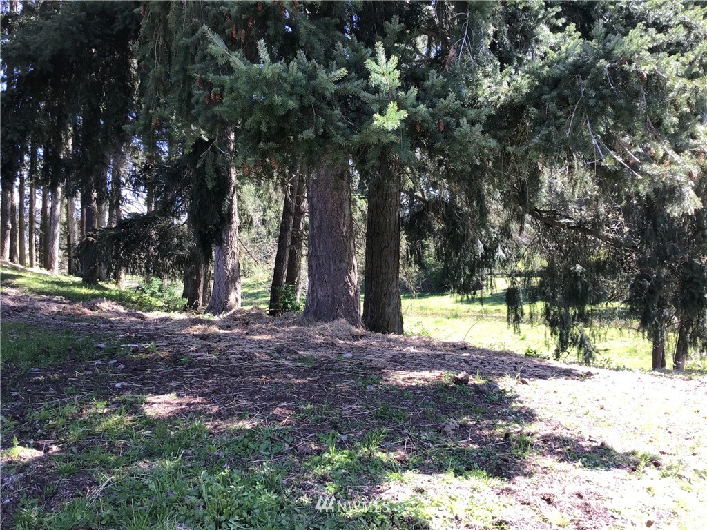 32917 Locke Road Roy, WA 98580 - Photo 20 of 25 Gallery Image 20