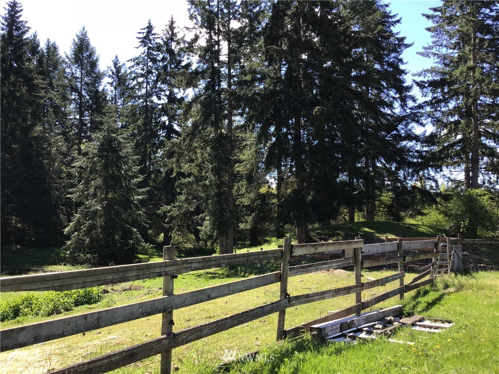 32917 Locke Road Roy, WA 98580 - Photo 21 of 25 Gallery Image 21