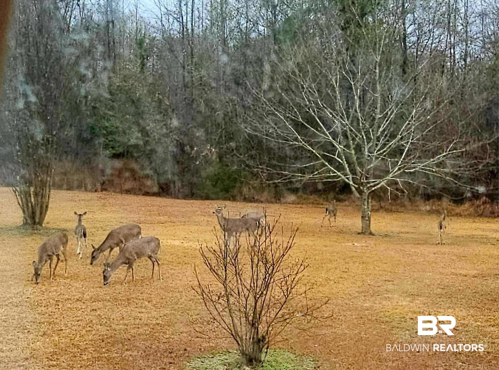 1700 Prospect Road Coffeeville, AL 36524 - Photo 70 of 74