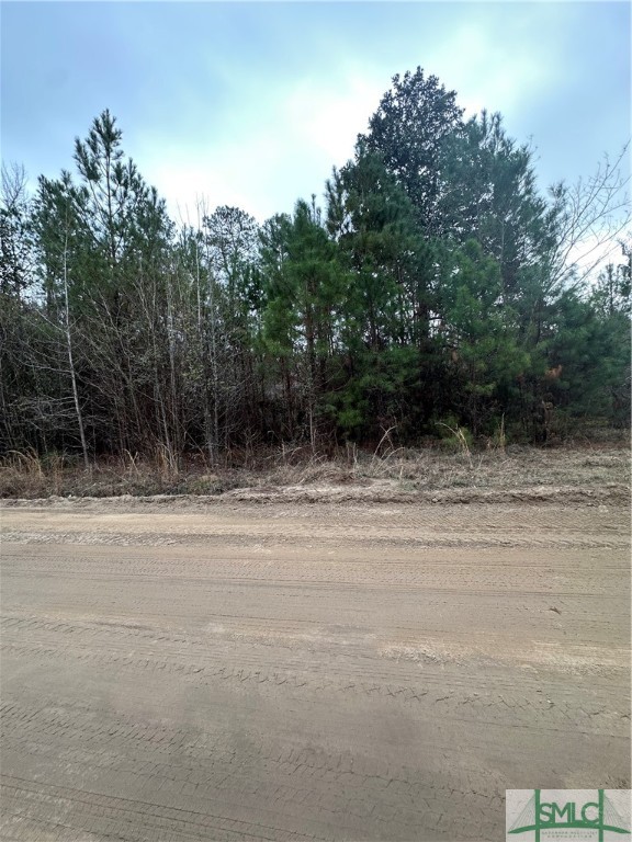 385 Shearwood Road Guyton, GA 31312 - Photo 3 of 3 Gallery Image 3