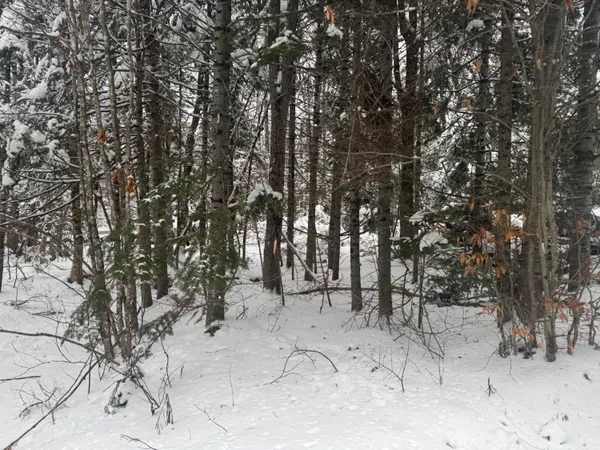 $19,900 | 291 New Sweden Road, New Sweden, ME 04762