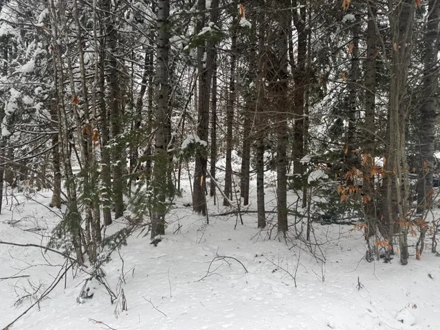 $19,900 | 291 New Sweden Road, New Sweden, ME 04762