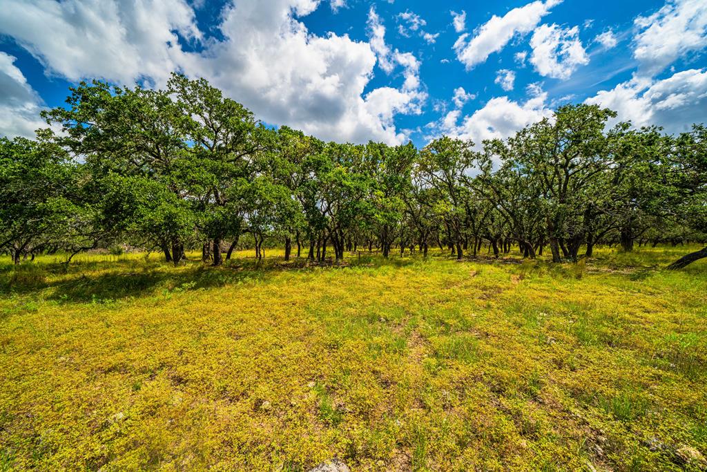 10 Blackjack Ranch Road, Unit 10 Harper, TX 78631 - Photo 1 of 7 Main View