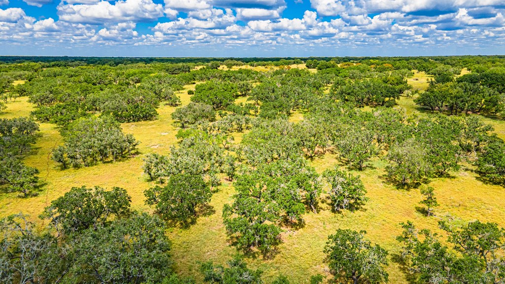 10 Blackjack Ranch Road, Unit 10 Harper, TX 78631 - Photo 6 of 7