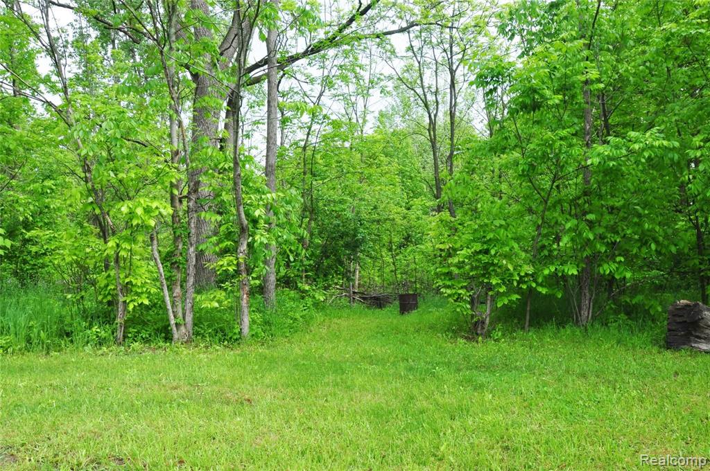 3870 Warner Road Howell, MI 48855 - Photo 53 of 70